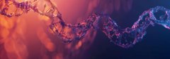 自然语言SESYD 合成文档数据库